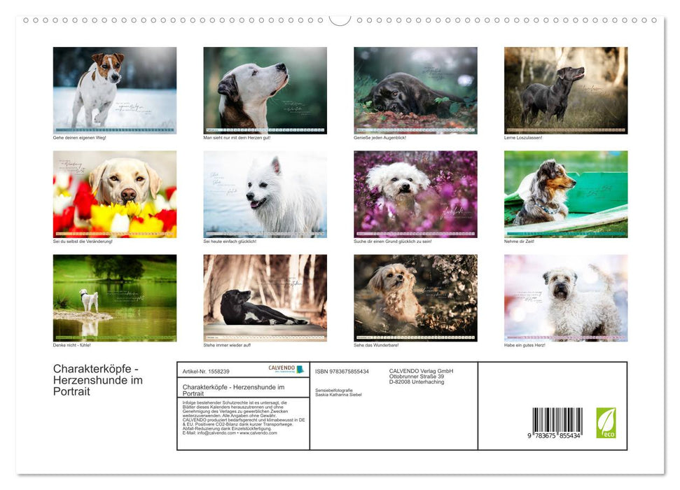 Têtes de personnages - chiens de cœur en portrait (Calendrier mural CALVENDO Premium 2024) 