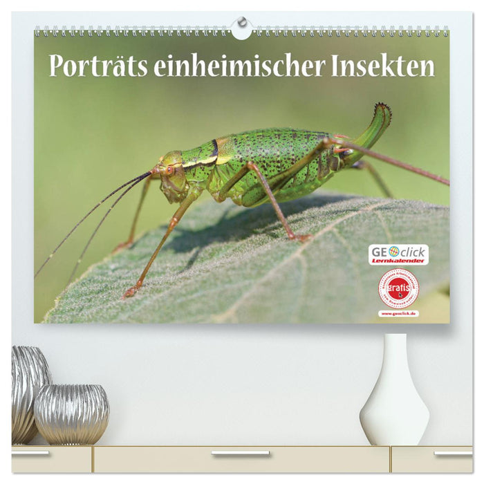 GEOclick Lernkalender: Porträts einheimischer Insekten (CALVENDO Premium Wandkalender 2024)