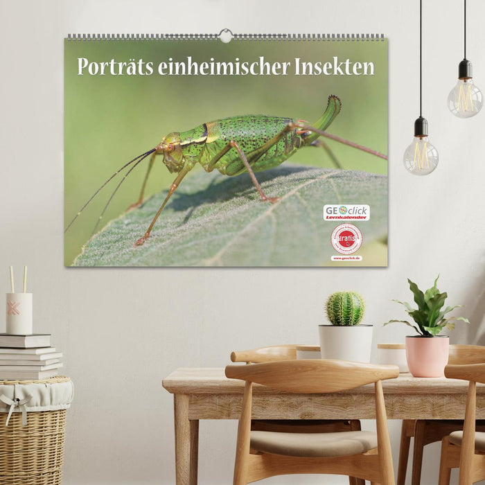 GEOclick Lernkalender: Porträts einheimischer Insekten (CALVENDO Wandkalender 2024)