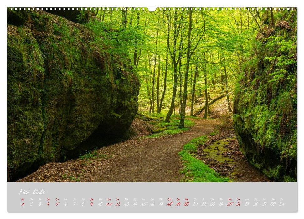 Forêt de Thuringe Le cœur vert de l'Allemagne (Calvendo Premium Calendrier mural 2024) 