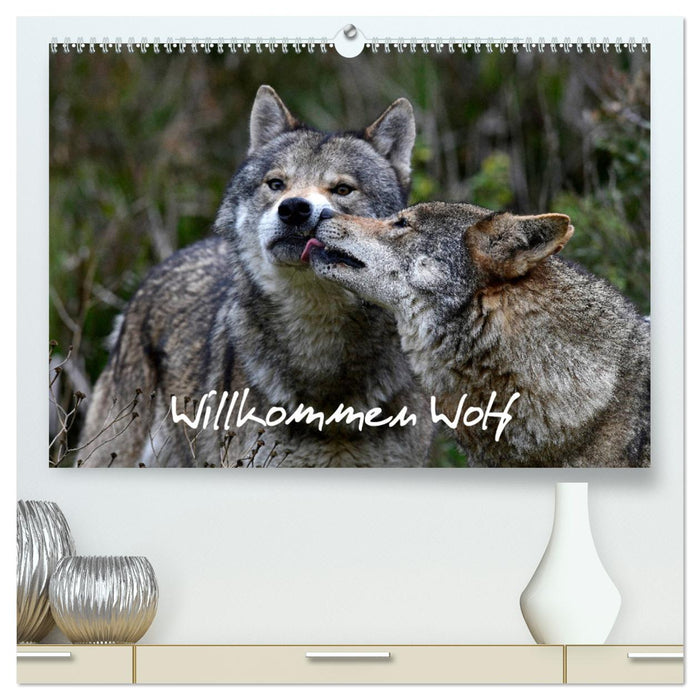 Willkommen Wolf (CALVENDO Premium Wandkalender 2024)