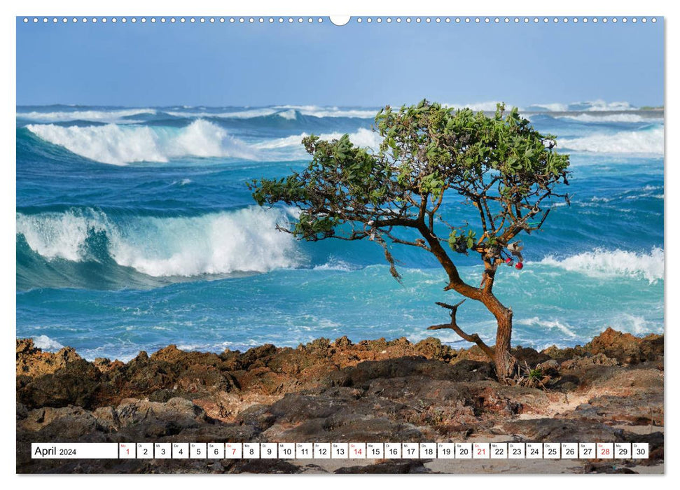 Hawaï - volcan et île paradisiaque du Pacifique (calendrier mural CALVENDO 2024) 