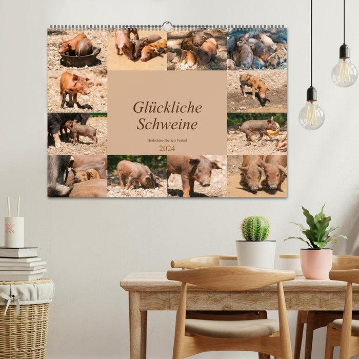 Happy Pigs Porcelets Berkshire-Iberico (Calendrier mural CALVENDO 2024) 