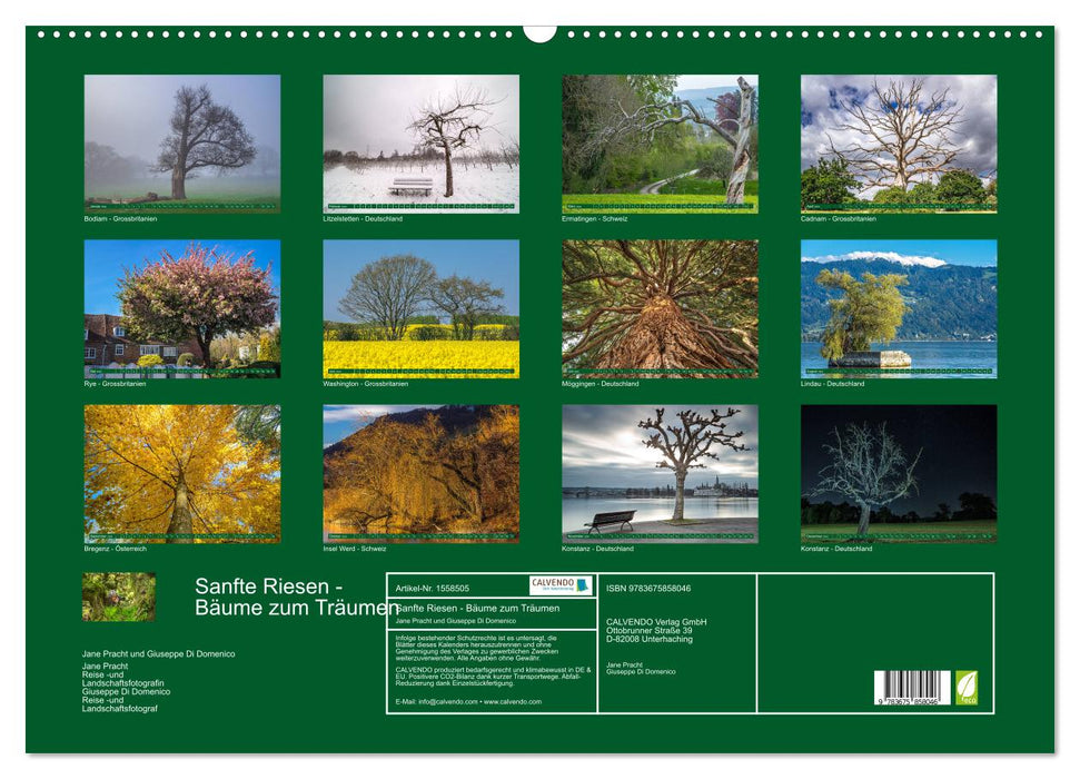 Sanfte Riesen - Bäume zum Träumen (CALVENDO Wandkalender 2024)