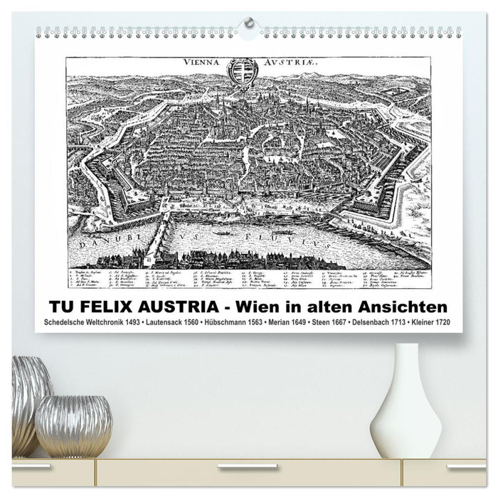 TU FELIX AUSTRIA - Wien in alten Ansichten (CALVENDO Premium Wandkalender 2024)