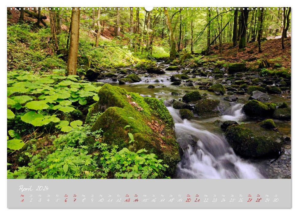 Thüringer Wald Das Grüne Herz Deutschlands (CALVENDO Wandkalender 2024)