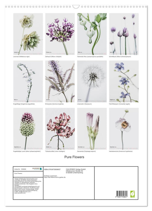 Pure Flowers (CALVENDO Wandkalender 2024)