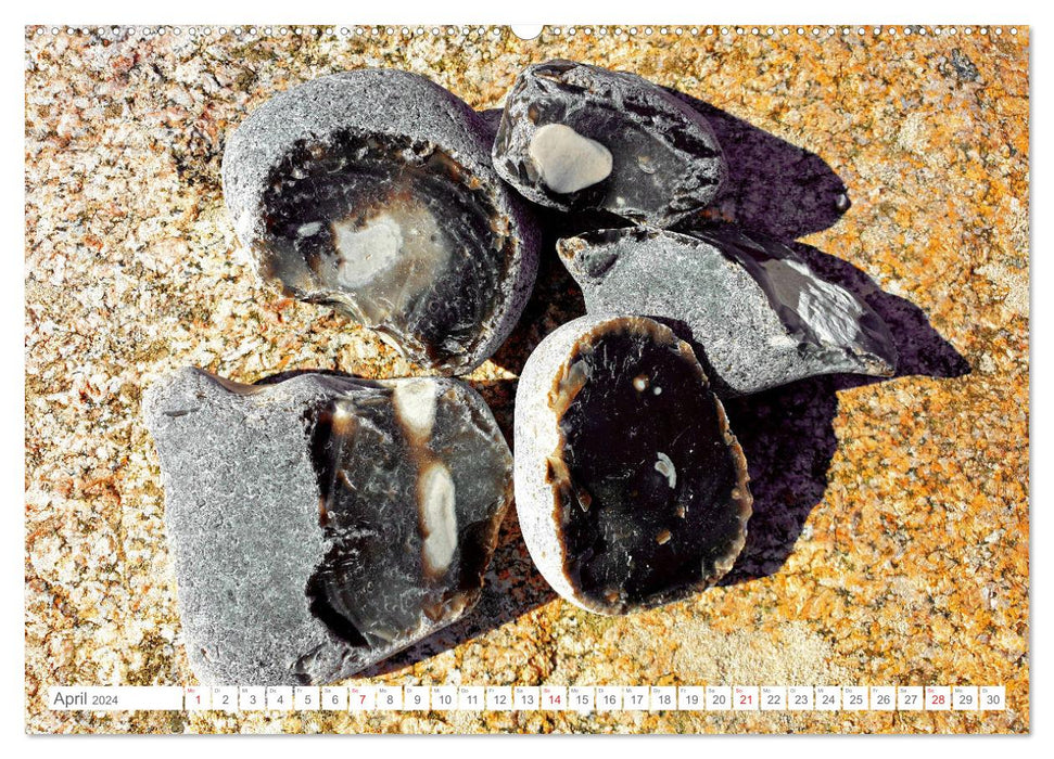 Pierrafeu sur Rügen - Magnifiques pierres à feu sur la plage de la mer Baltique (Calendrier mural CALVENDO Premium 2024) 