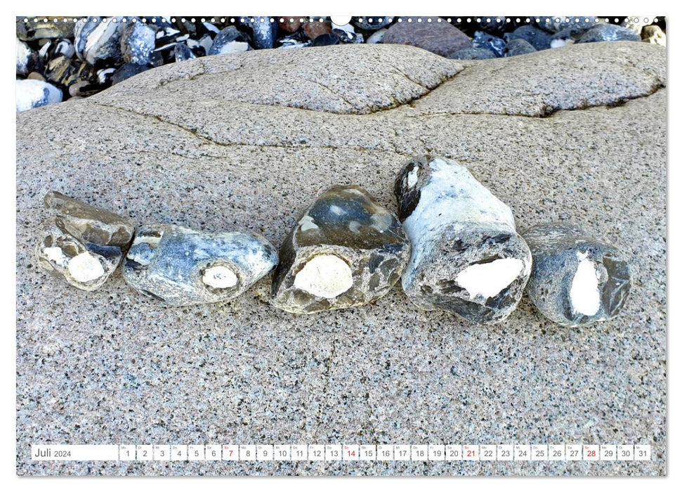 Feuersteine auf Rügen - Bildschöne Flintsteine am Ostseestrand (CALVENDO Premium Wandkalender 2024)