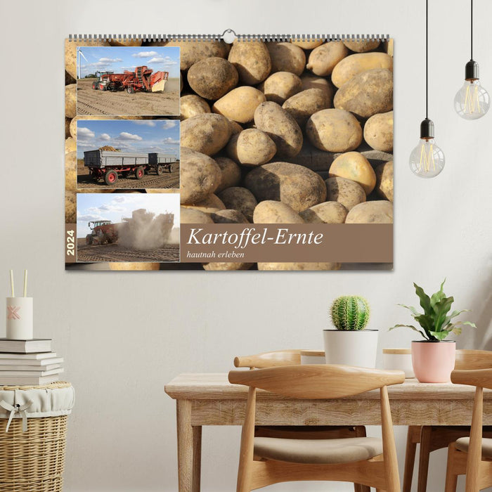 Kartoffel-Ernte - hautnah erleben (CALVENDO Wandkalender 2024)