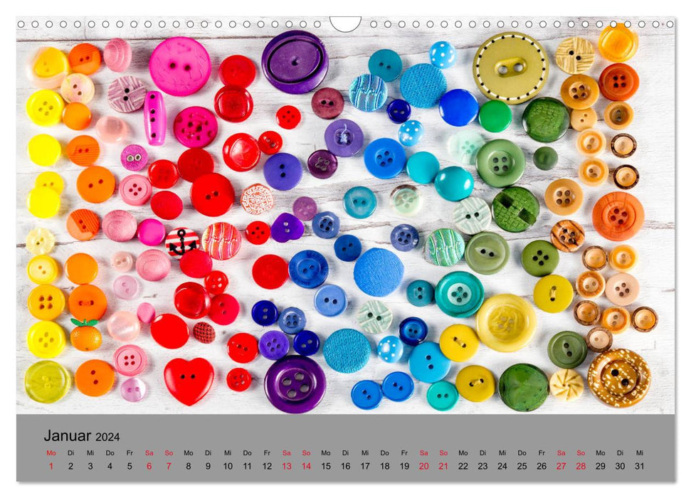 Le type de boutons (Calendrier mural CALVENDO 2024) 