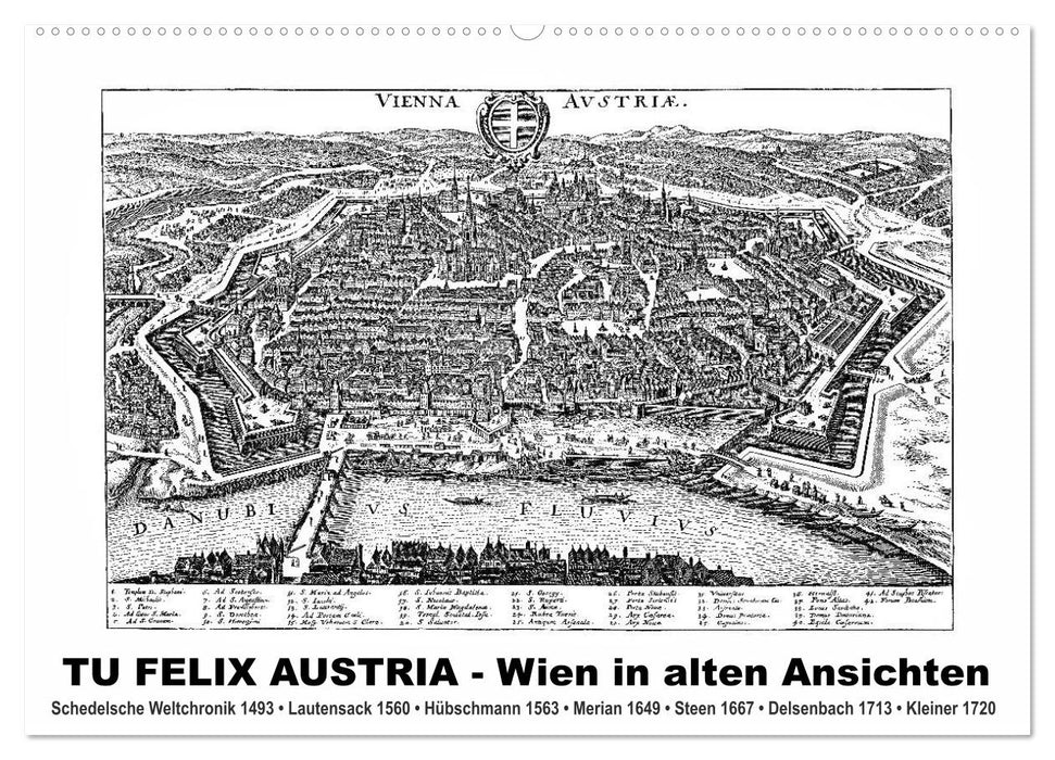 TU FELIX AUSTRIA - Wien in alten Ansichten (CALVENDO Wandkalender 2024)