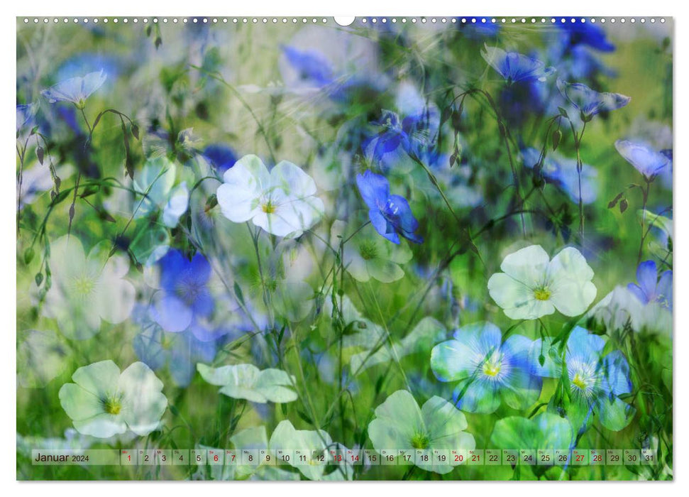 Wachgeküsst - digitale Blütenträume (CALVENDO Wandkalender 2024)