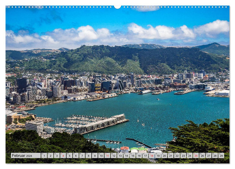 Blickpunkte Neuseeland (CALVENDO Premium Wandkalender 2024)
