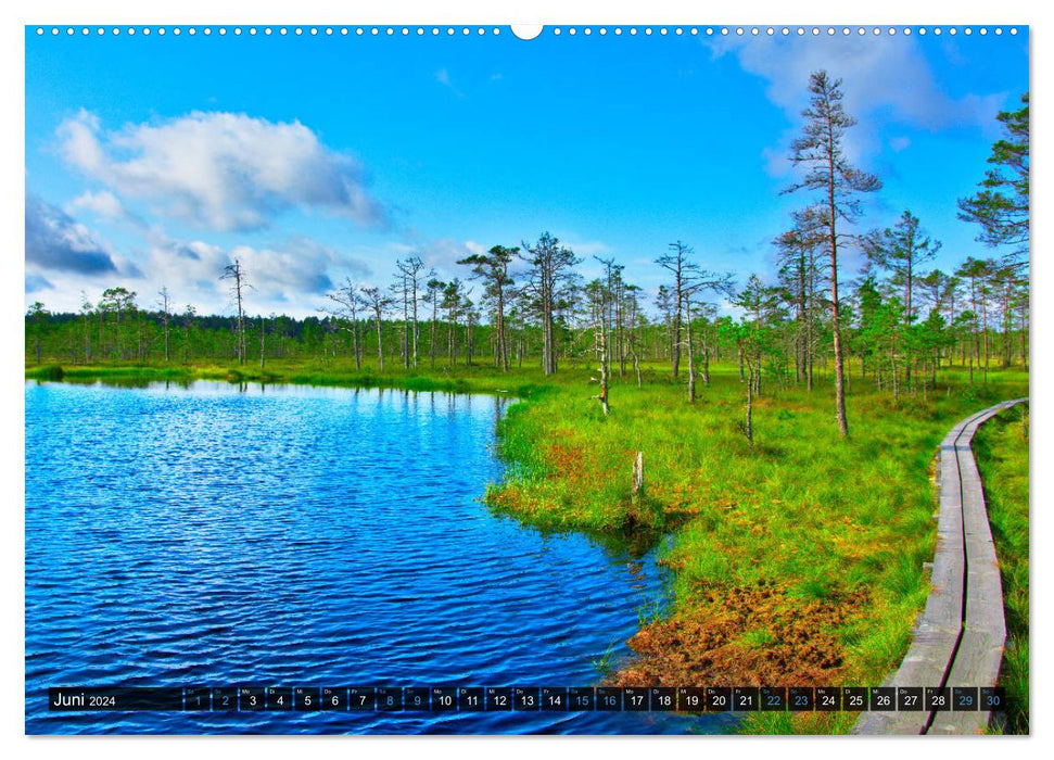 Bezauberndes Estland (CALVENDO Premium Wandkalender 2024)