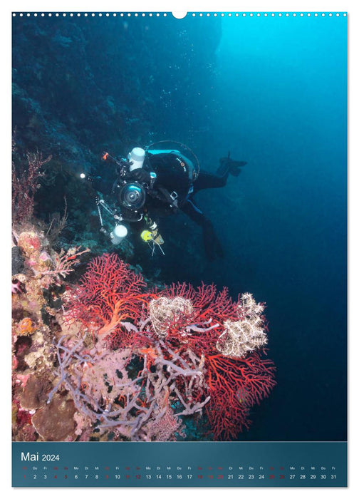 Farbenfrohe Unterwasserwelt (CALVENDO Premium Wandkalender 2024)