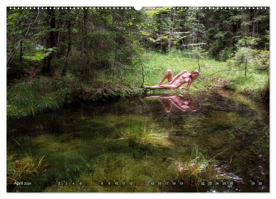 Akt und Natur - im Zauberwald (CALVENDO Premium Wandkalender 2024)