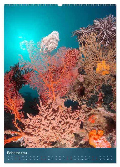 Farbenfrohe Unterwasserwelt (CALVENDO Wandkalender 2024)