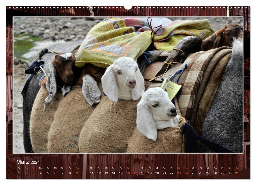 Himachal Pradesh - Lahaul, Sangla, Spiti Valley (CALVENDO Premium Wandkalender 2024)