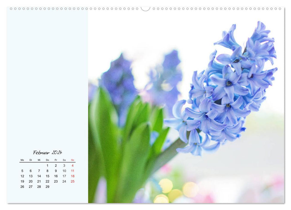Duftiger Blumentraum und eleganter Blütenzauber! (CALVENDO Wandkalender 2024)