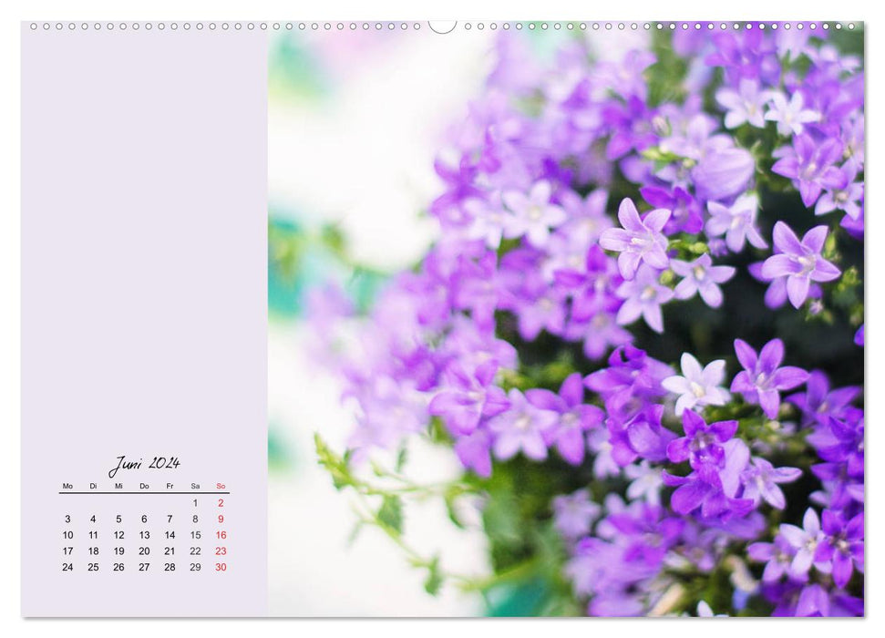Duftiger Blumentraum und eleganter Blütenzauber! (CALVENDO Wandkalender 2024)
