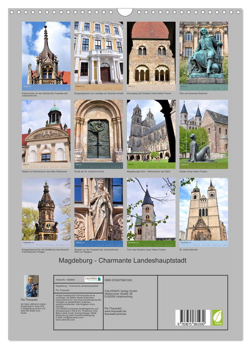 Magdeburg - Charmante Landeshauptstadt (CALVENDO Wandkalender 2024)