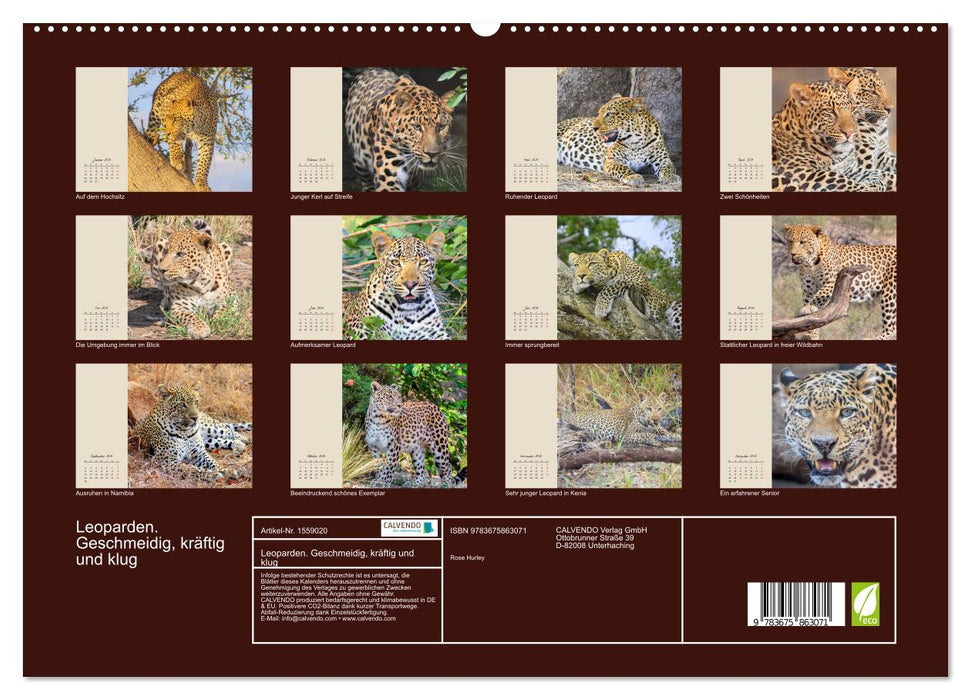 Leoparden. Geschmeidig, kräftig und klug (CALVENDO Premium Wandkalender 2024)