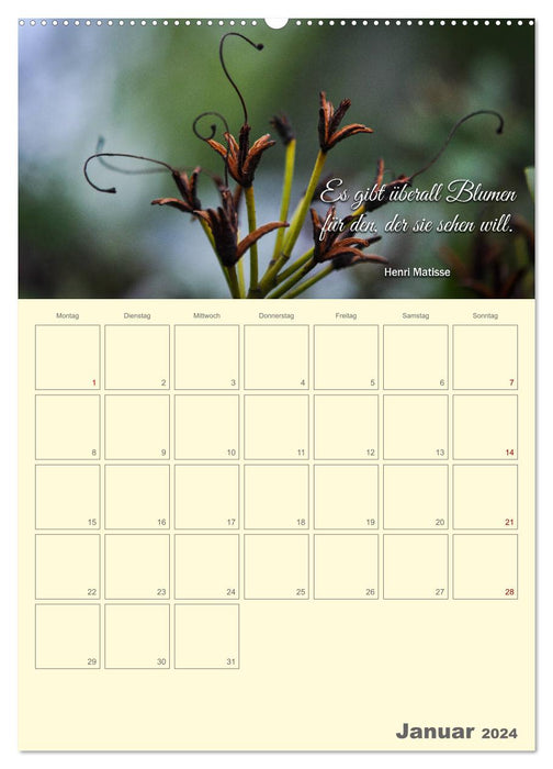 Gartenliebe (CALVENDO Wandkalender 2024)