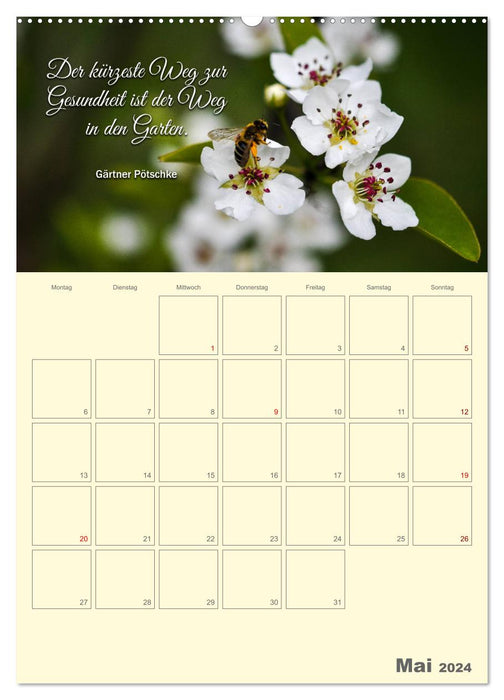 Gartenliebe (CALVENDO Wandkalender 2024)