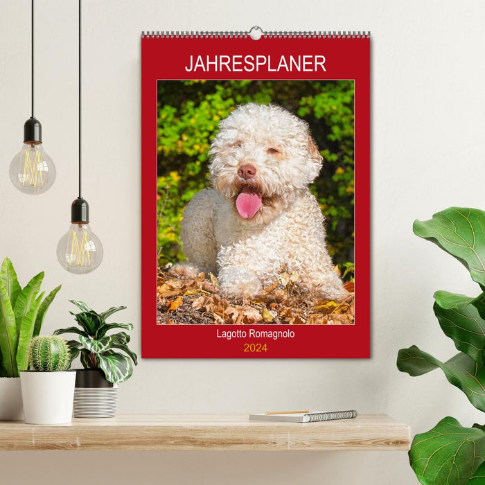 Jahresplaner Lagotto Romagnolo (CALVENDO Wandkalender 2024)