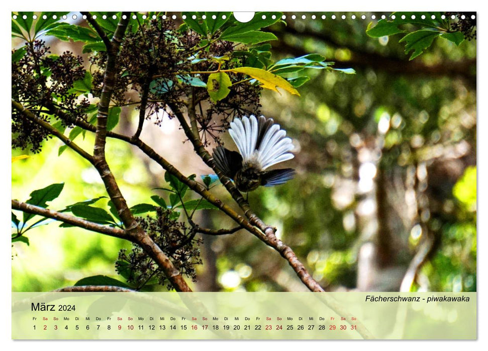 Neuseelands Vogelwelt (CALVENDO Wandkalender 2024)