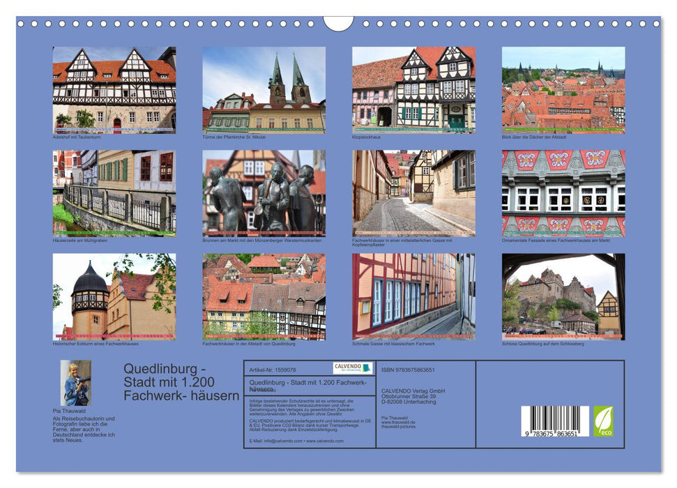 Quedlinburg - Stadt mit 1.200 Fachwerkhäusern (CALVENDO Wandkalender 2024)