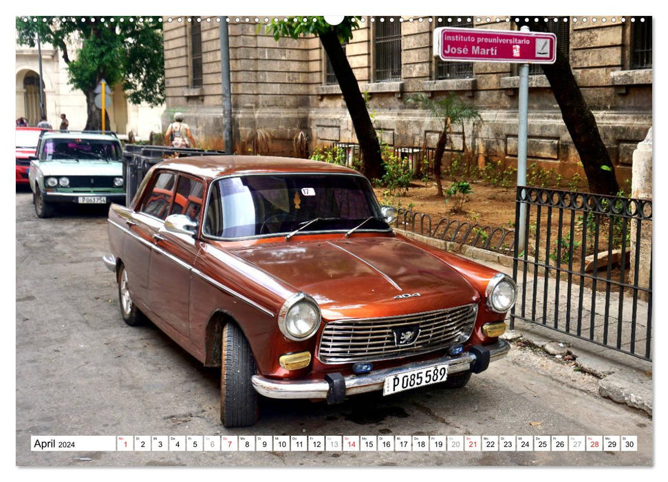 PEUGEOT 404 - Frankreichs Mercedes in Kuba (CALVENDO Premium Wandkalender 2024)
