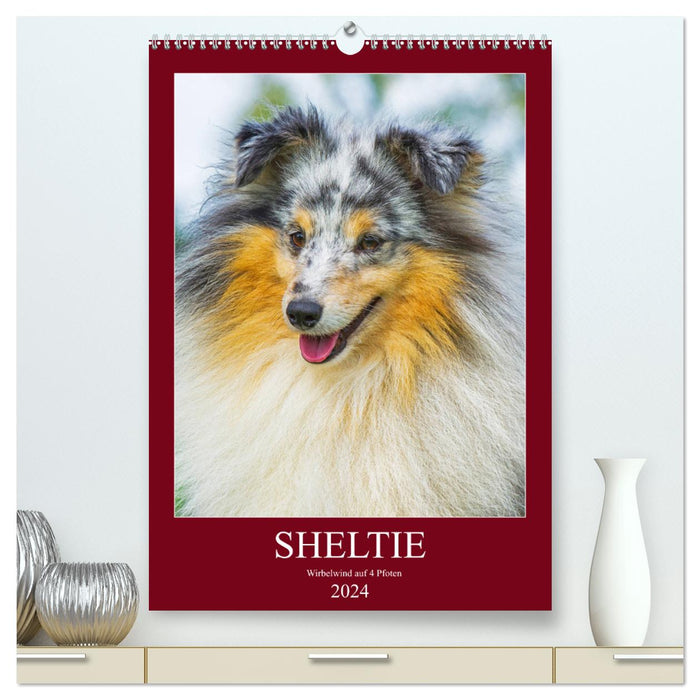 Sheltie - Wirbelwind auf 4 Pfoten (CALVENDO Premium Wandkalender 2024)