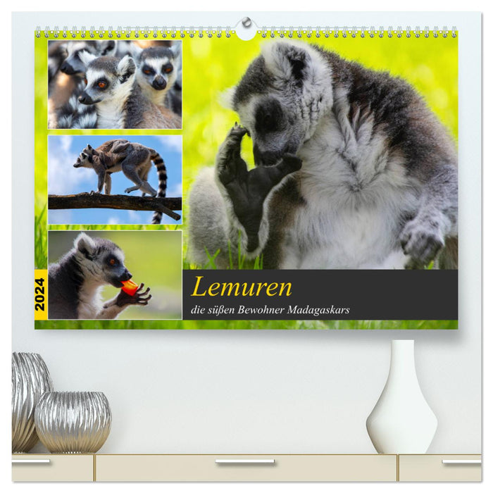 Lemuren die süßen Bewohner Madagaskars (CALVENDO Premium Wandkalender 2024)