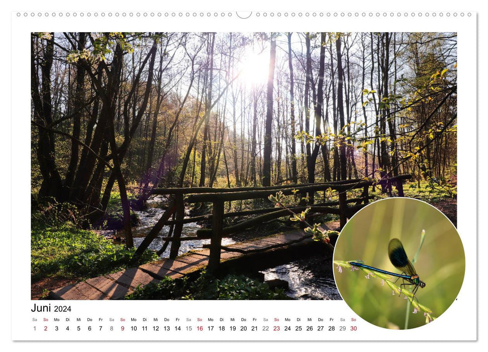 Vier Jahreszeiten, Nieste (CALVENDO Premium Wandkalender 2024)