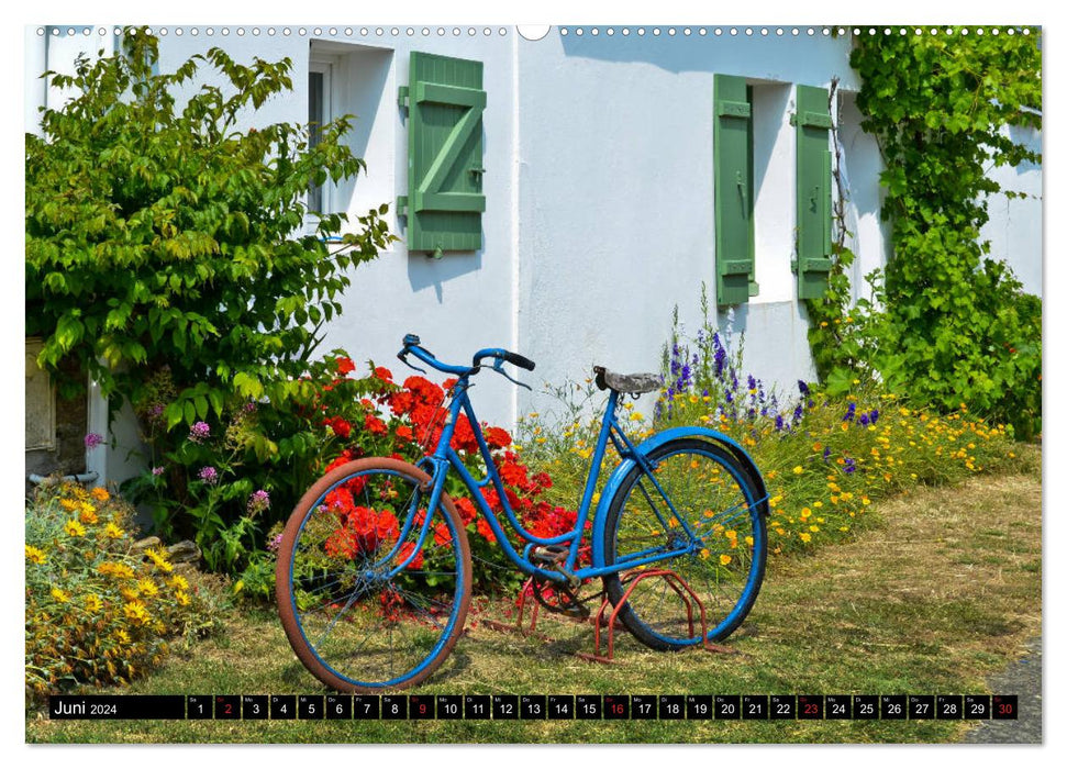 Farbenfrohe Fenster (CALVENDO Premium Wandkalender 2024)