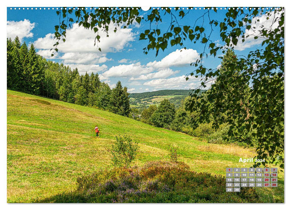 Markneukirchen - Musik & Landschaft einer Region (CALVENDO Premium Wandkalender 2024)
