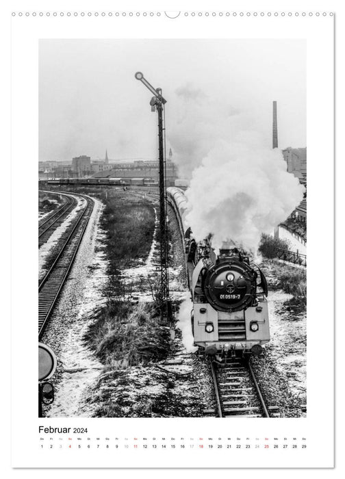 Dampfzüge vor 40 Jahren (CALVENDO Premium Wandkalender 2024)