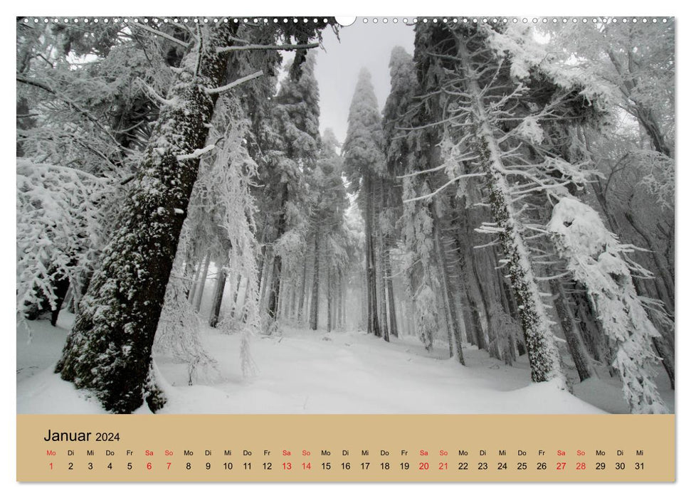 Landschaften im Elsass (CALVENDO Premium Wandkalender 2024)