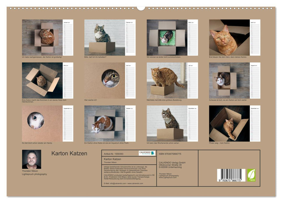 Karton Katzen (CALVENDO Premium Wandkalender 2024)