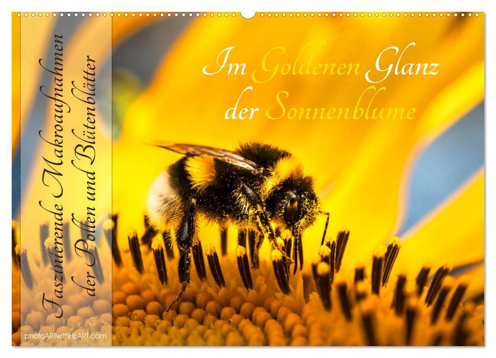Im Goldenen Glanz der Sonnenblume (CALVENDO Wandkalender 2024)