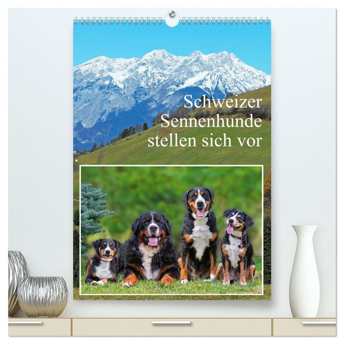 Schweizer Sennenhunde stellen sich vor (CALVENDO Premium Wandkalender 2024)