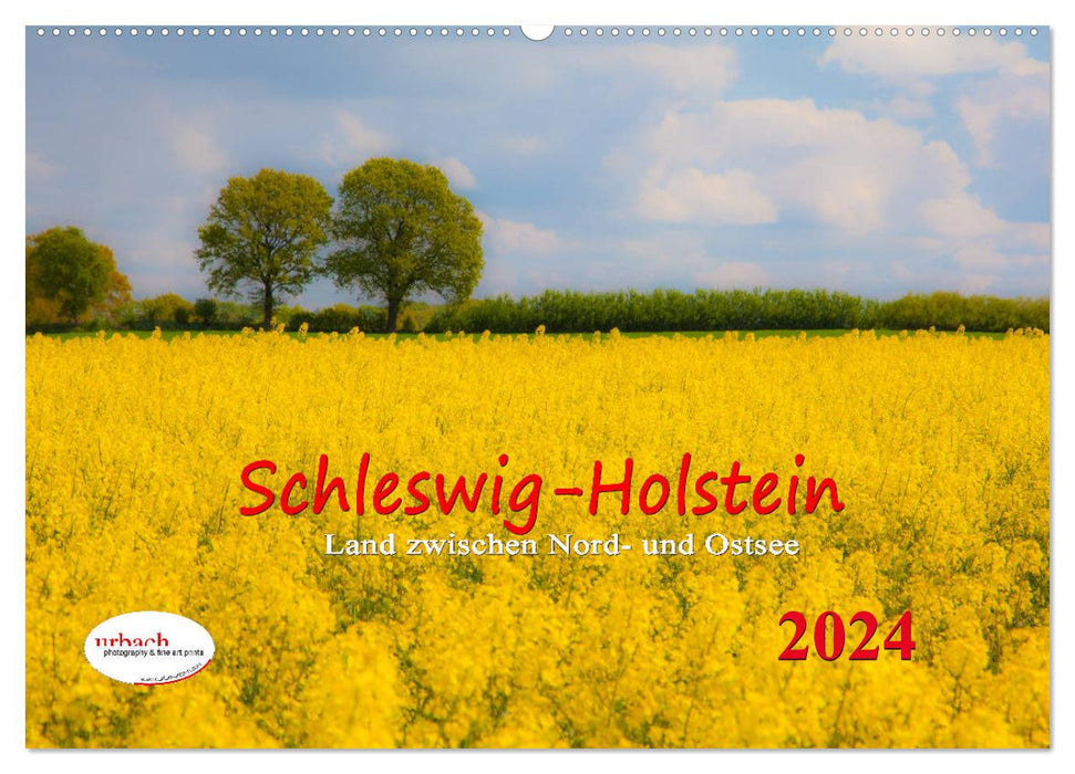 Schleswig-Holstein Land zwischen Nord- und Ostsee (CALVENDO Wandkalender 2024)