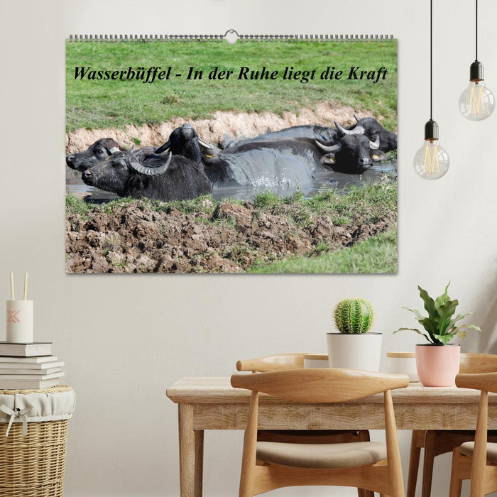 Wasserbüffel - In der Ruhe liegt die Kraft (CALVENDO Wandkalender 2024)