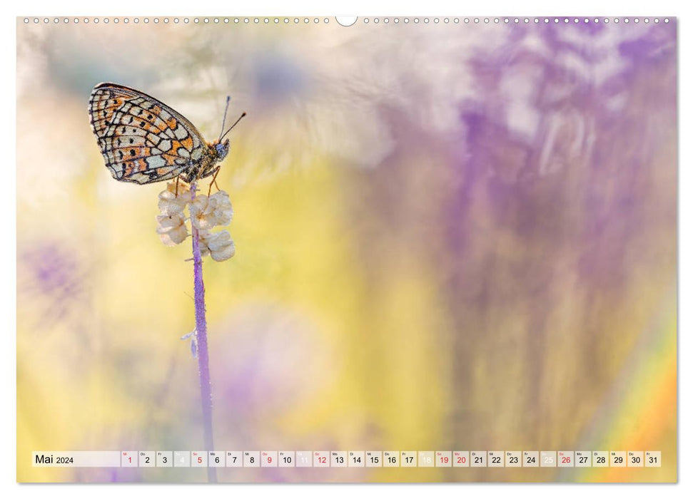 Magie der Schmetterlinge (CALVENDO Wandkalender 2024)