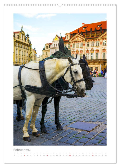 Prag Impressionen (CALVENDO Premium Wandkalender 2024)