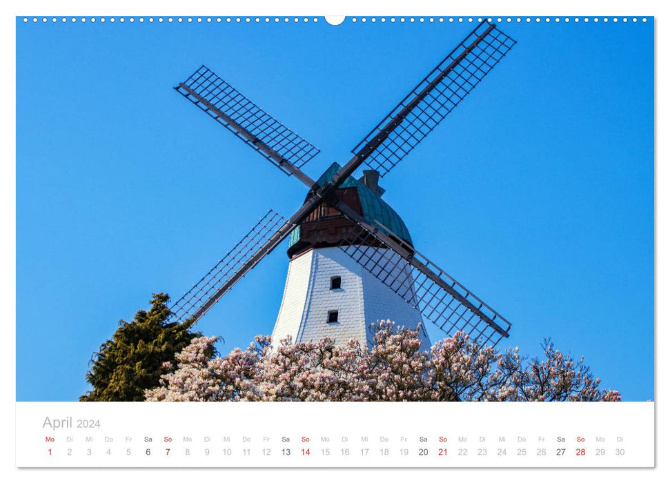 Kappeln an der Schlei (CALVENDO Premium Wandkalender 2024)