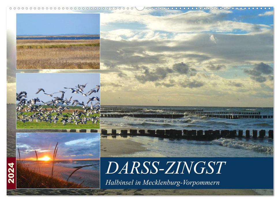 DARSS-ZINGST Halbinsel in Mecklenburg Vorpommern (CALVENDO Wandkalender 2024)