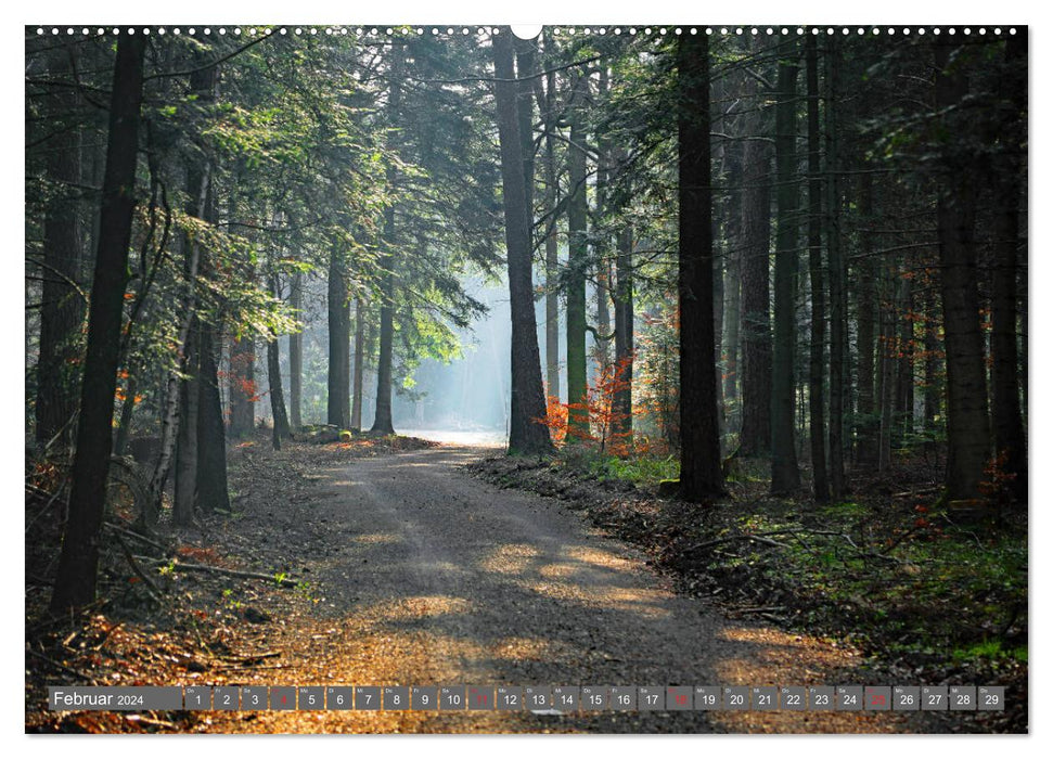 Schwarzwald-Wanderungen (CALVENDO Wandkalender 2024)